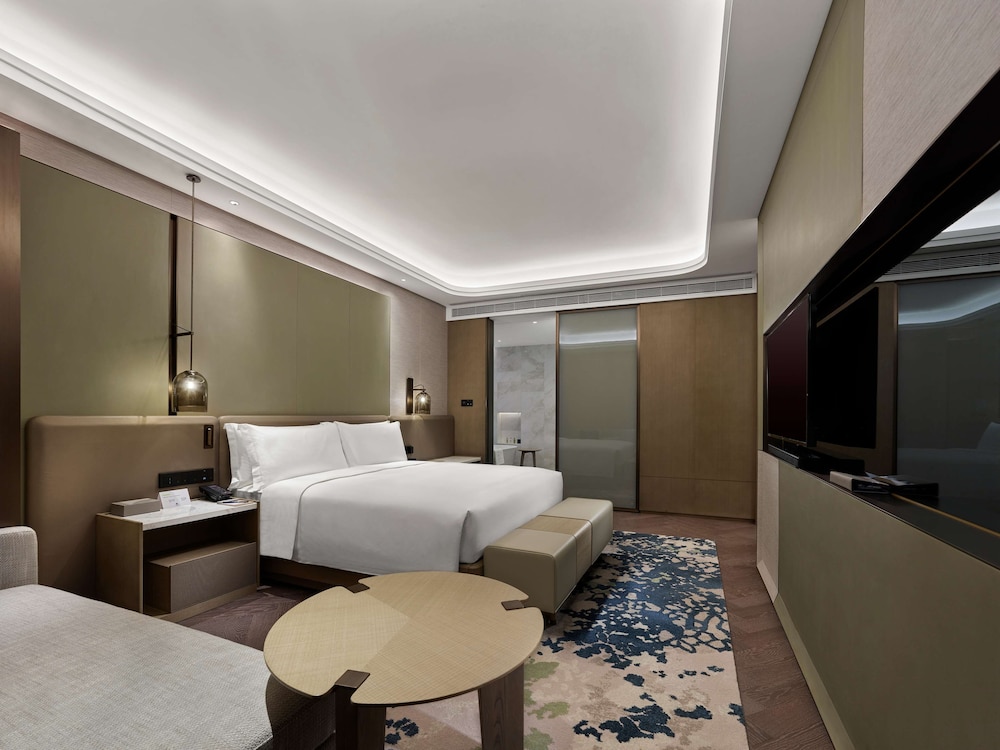 Deluxe Suite, 1 King Bed photo 3
