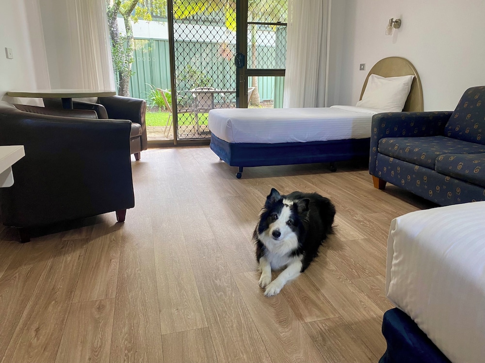 Deluxe Double or Twin Room (Pet Friendly)