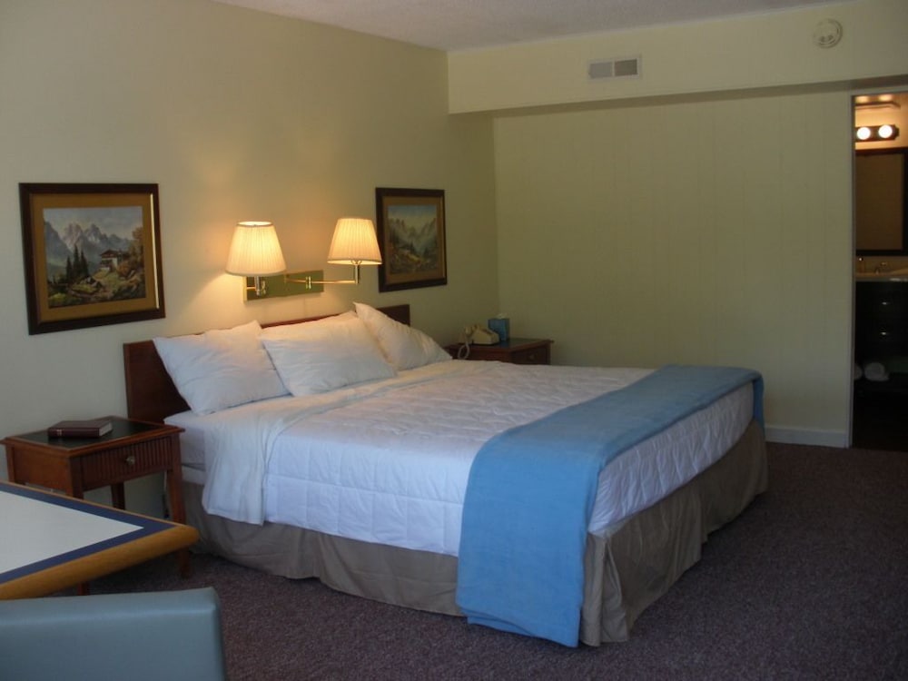 Deluxe Room, 1 King Bed photo 1