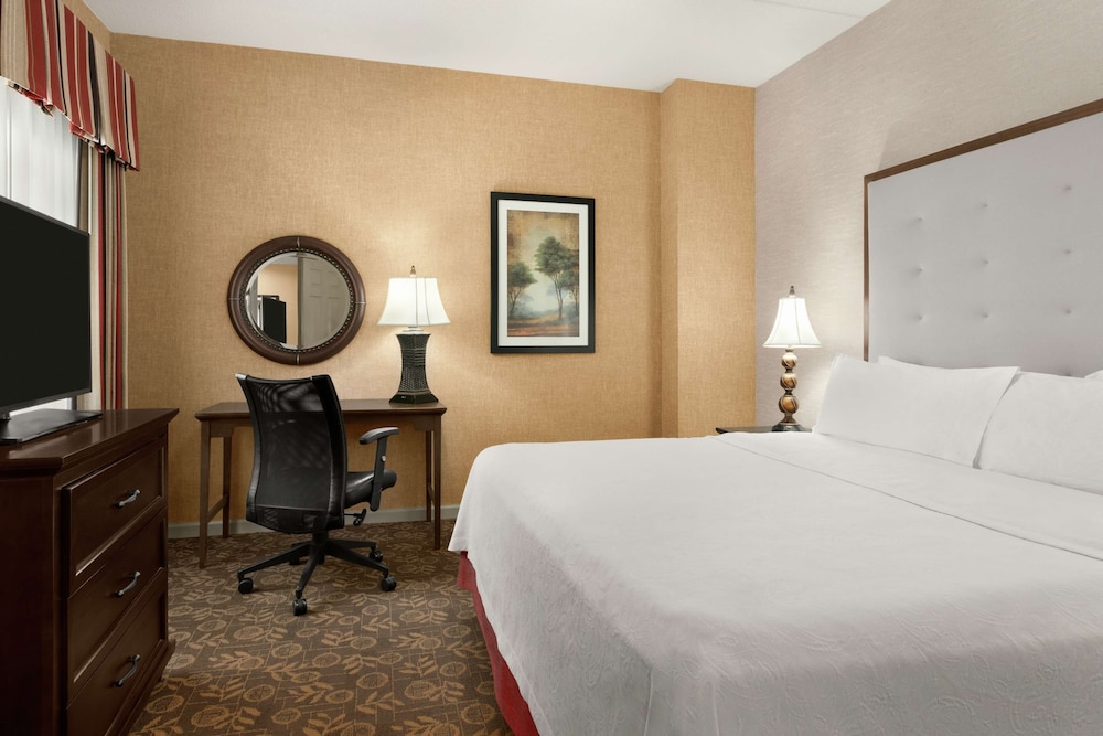 Suite, 1 King Bed, Accessible (Roll-In Shower) photo 1
