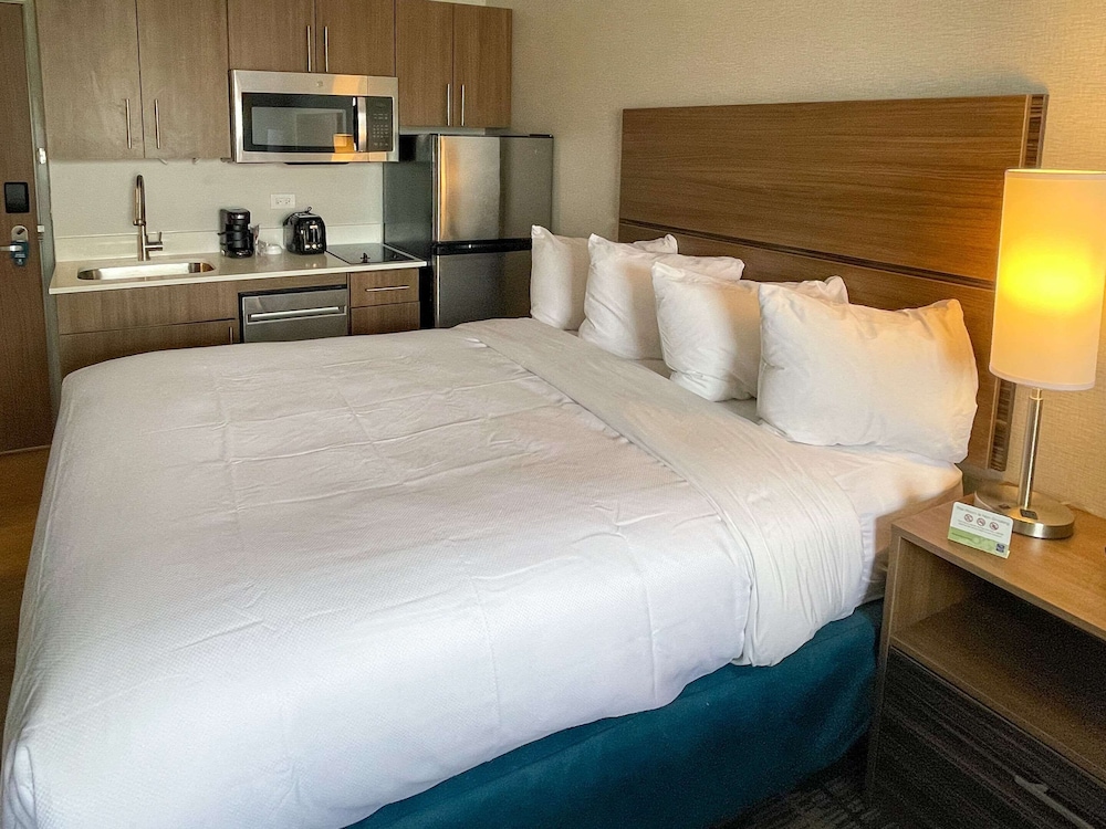 Suite, 1 King Bed, Non Smoking (Efficiency) - Photo 1