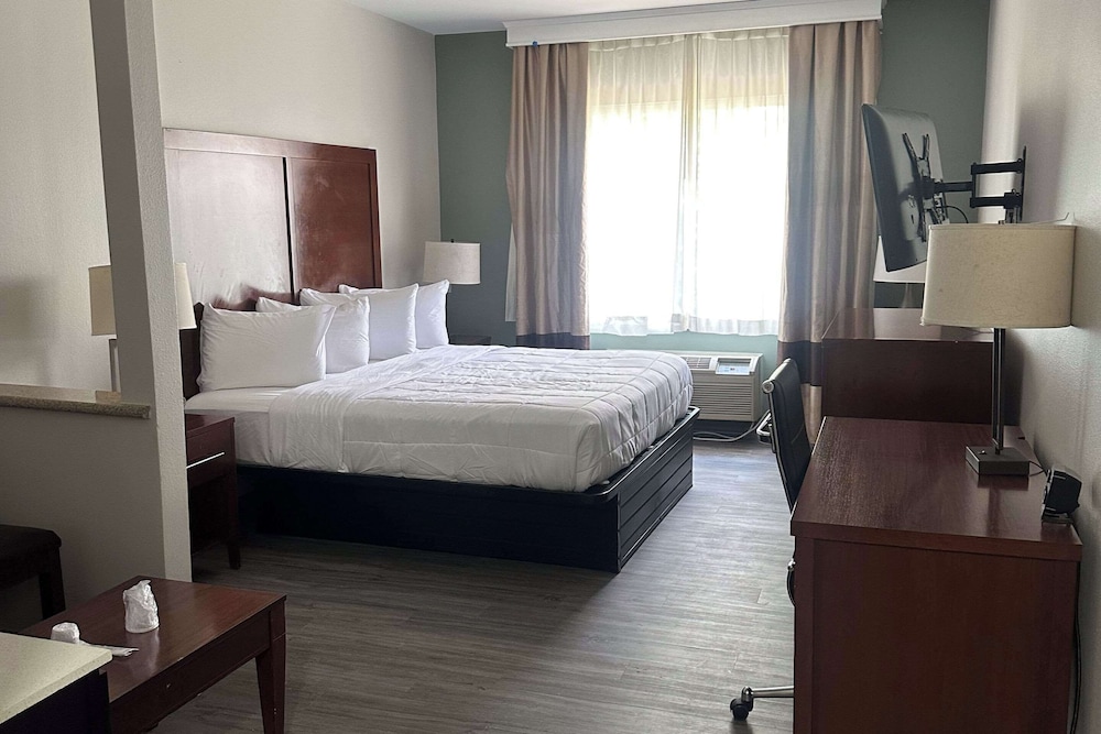 Room, 1 King Bed, Non Smoking - Photo 1
