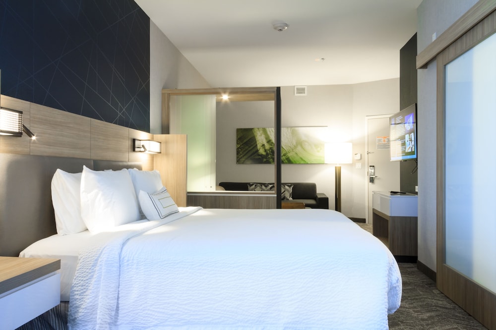 Suite, Multiple Beds photo 3