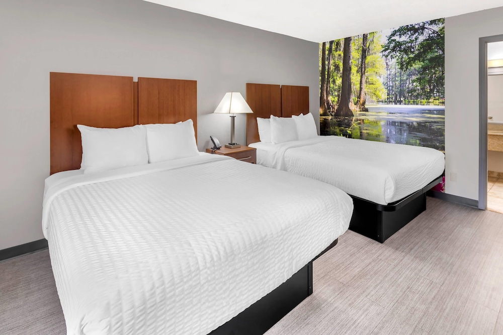 Room, 2 Queen Beds, Accessible, Non Smoking photo 1
