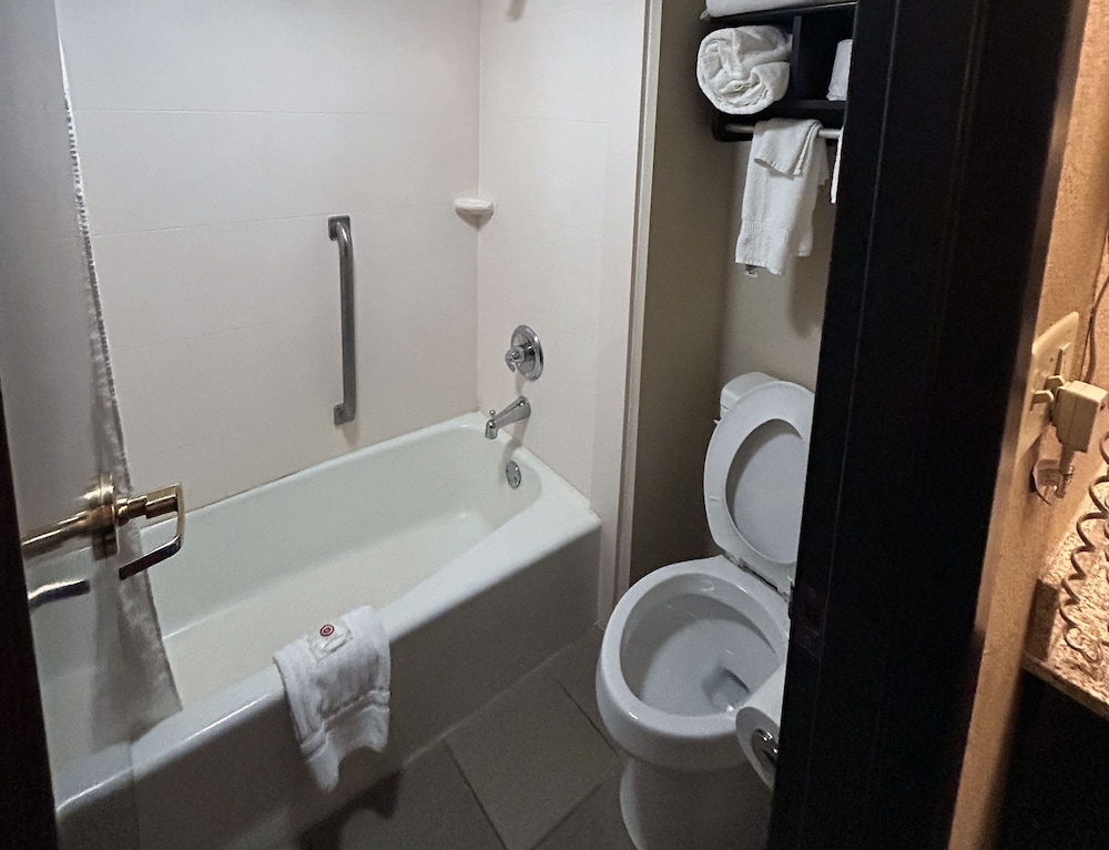 Standard Studio Suite, 1 King Bed with Sofa bed, Accessible, Non Smoking - Photo 2