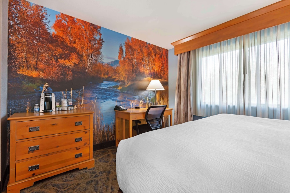Standard Room, 1 King Bed, Non Smoking, Refrigerator & Microwave (Oversized Room) - Photo 5