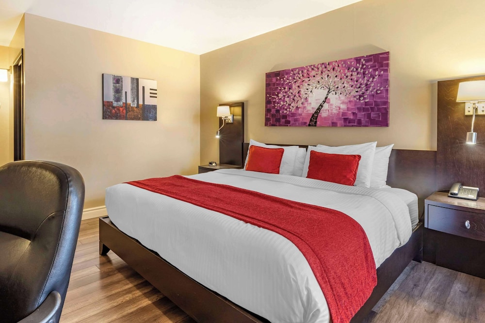 Standard Room, 1 King Bed, Non Smoking - Photo 3