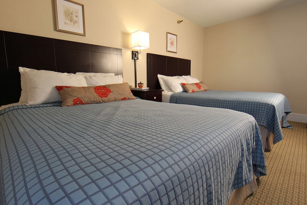 Standard Room, 2 Double Beds - Photo 10