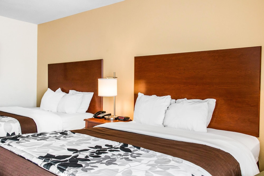 Standard Room, 2 Queen Beds, Non Smoking - Photo 3