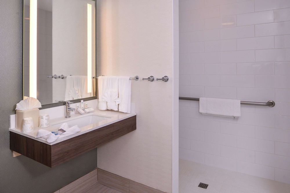 Room, 1 King Bed, Accessible (Roll-in Shower) - Photo 4