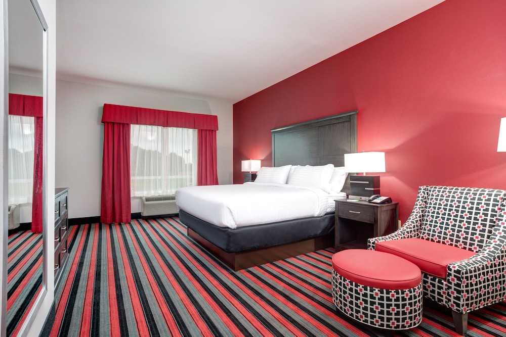 Suite, 1 King Bed with Sofa bed