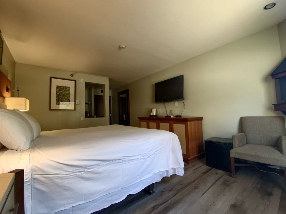 Standard Room, 1 King Bed - Photo 4
