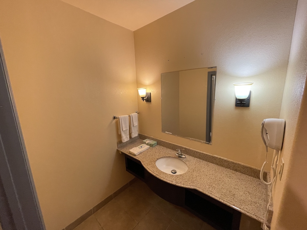 Comfort Single Room, 1 King Bed photo 3