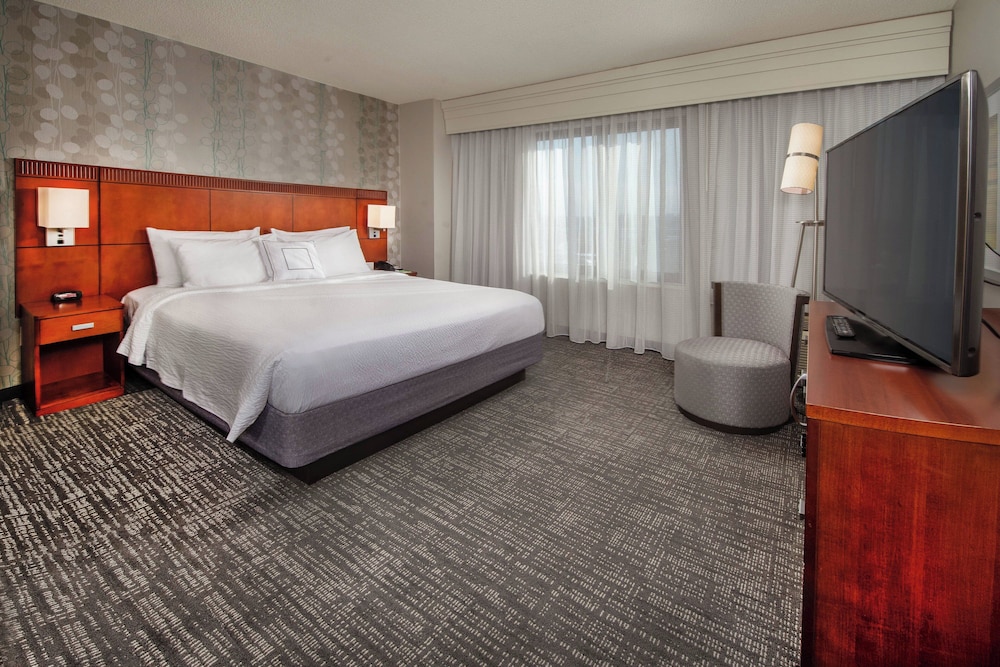 Suite, 1 King Bed with Sofa bed photo 3