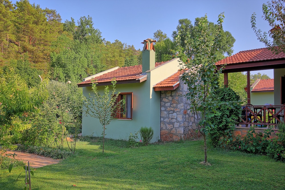 Suite, Garden Area