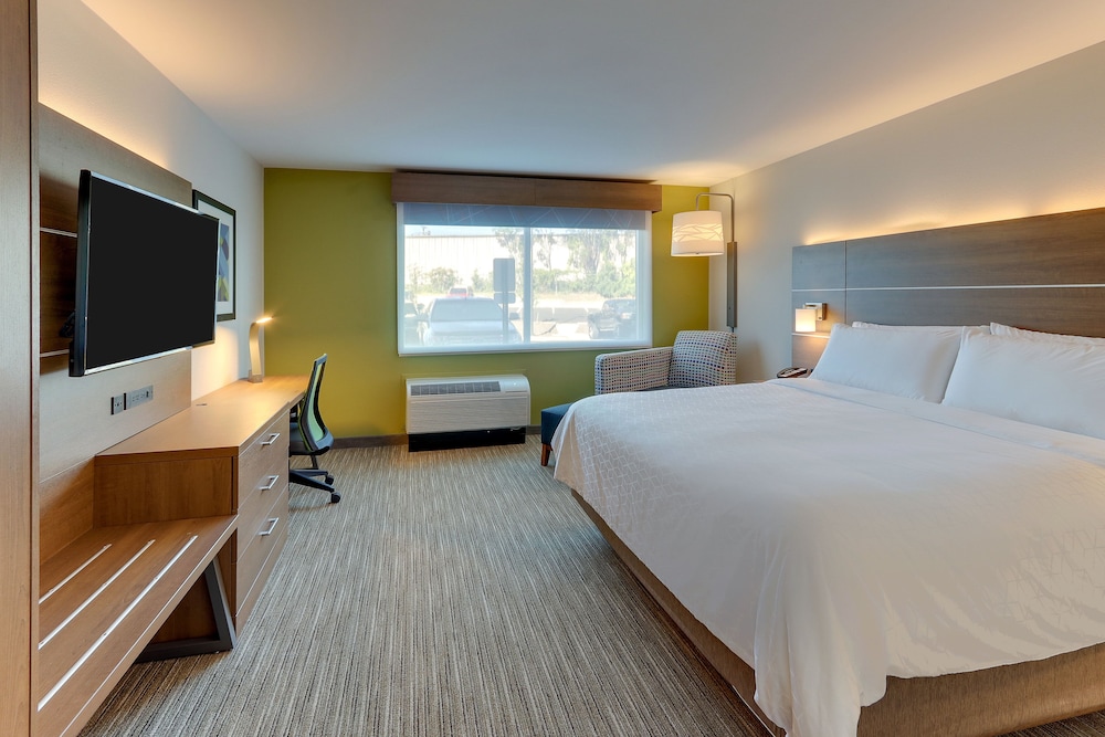 Room, 1 King Bed, Accessible (Roll-In Shower, Extra Floor Space) - Photo 3