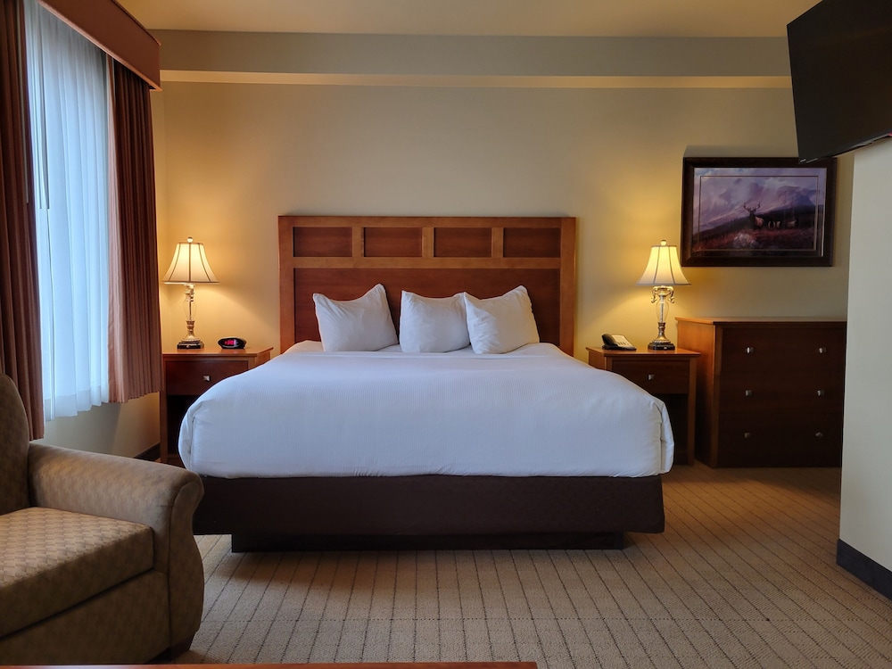 Standard Room, 1 King Bed with Sofa bed, Kitchen (King Studio with Half Kitchen) photo 3