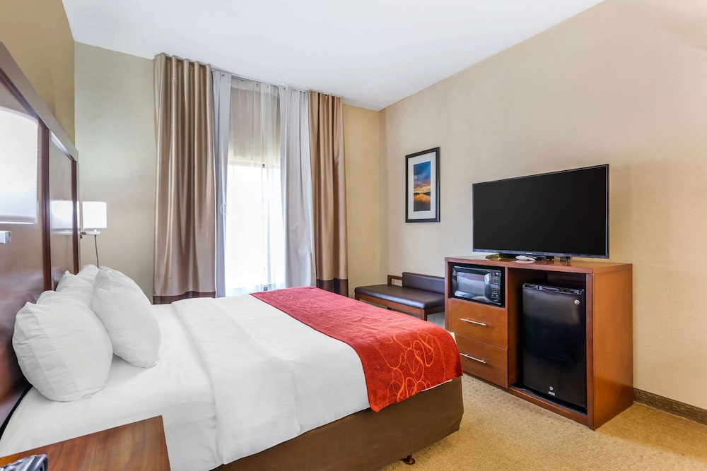 Suite, 1 King Bed with Sofa bed, Accessible, Non Smoking - Photo 9
