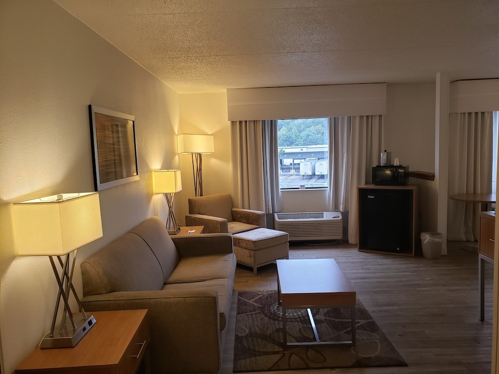 Suite, 1 King Bed - Photo 5