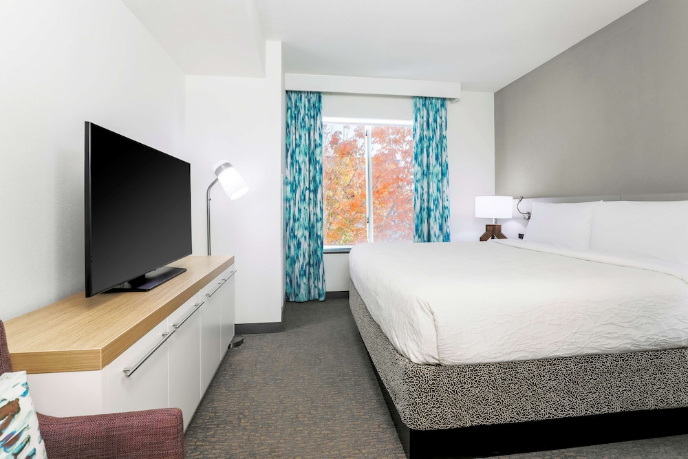 Suite, 1 Bedroom, Non Smoking photo 1