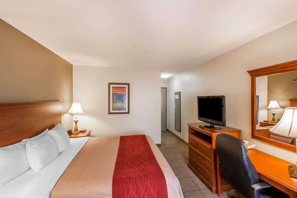 Standard Room, 1 King Bed, Non Smoking - Photo 3