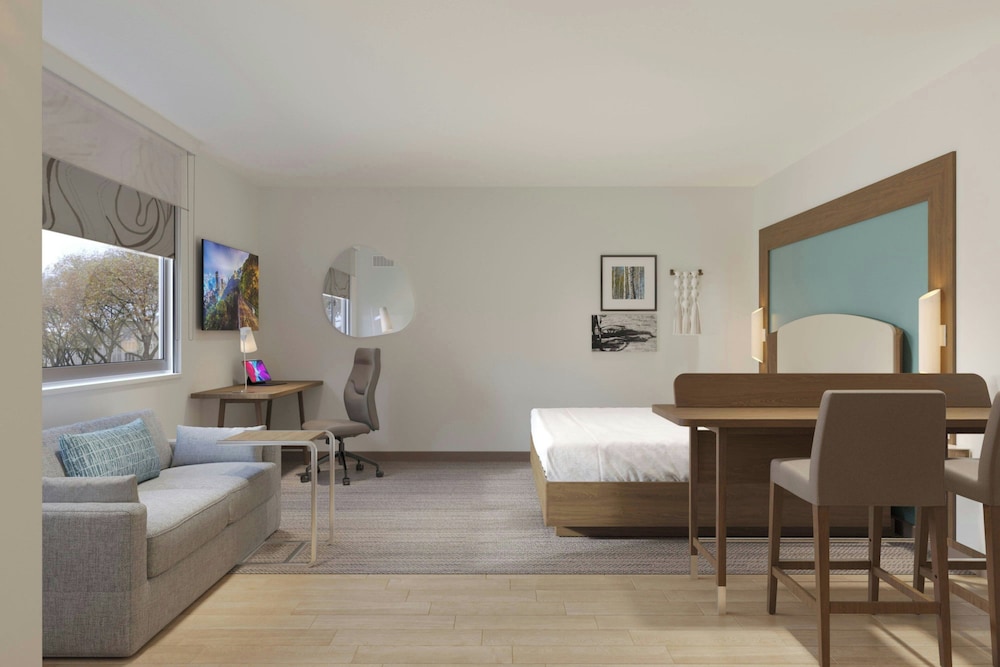 Studio, 1 King Bed
