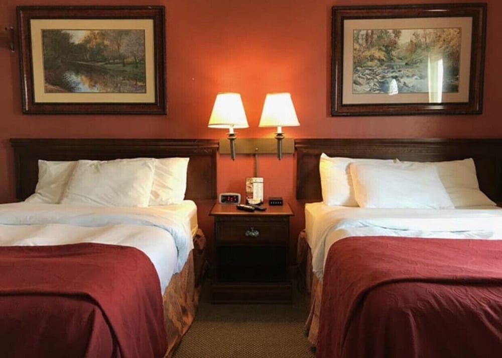 Basic Double Room photo 1