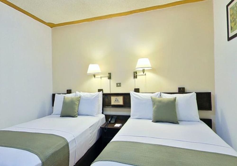 Room (Dog Friendly) - Photo 1