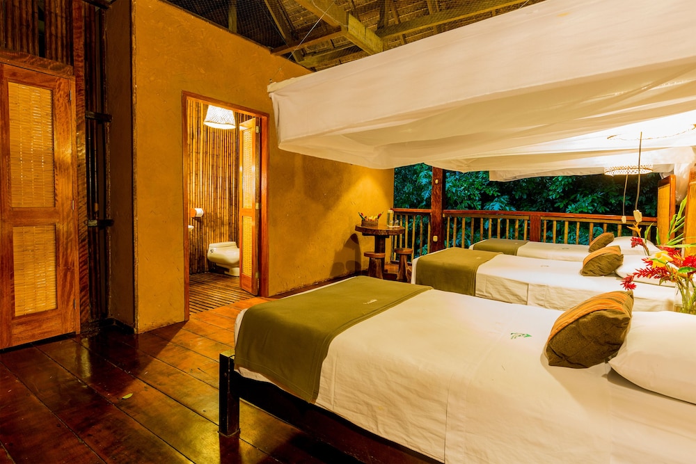 Rainforest Comfort Twin Room photo 2