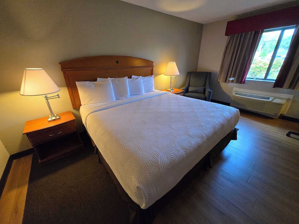 Deluxe Single Room, 1 King Bed photo 1