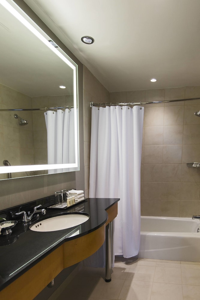 Suite, 1 Bedroom - Photo 6