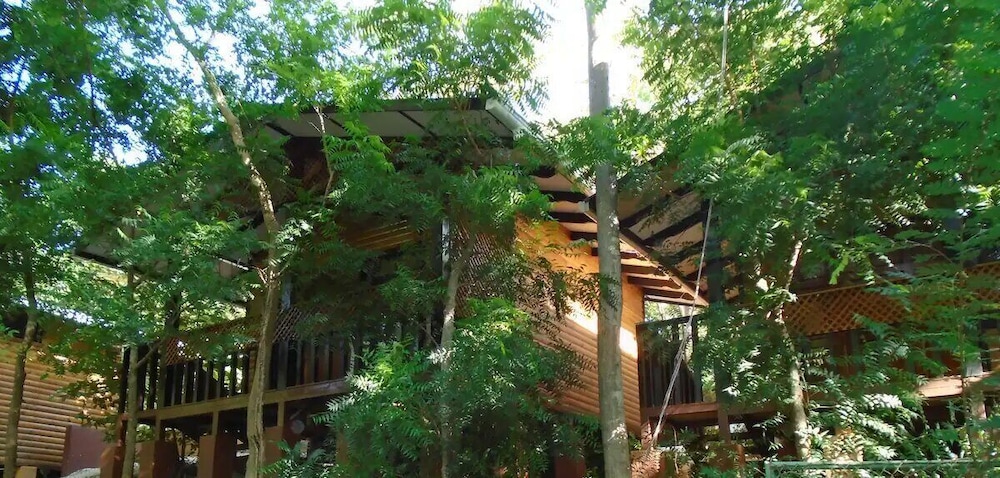 Economy Cabin, Multiple Beds, Balcony, Courtyard View photo 3
