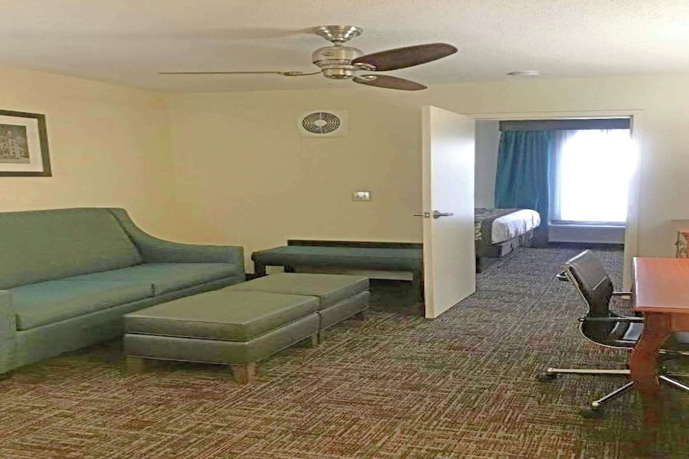 Suite, 1 King Bed with Sofa bed, Non Smoking