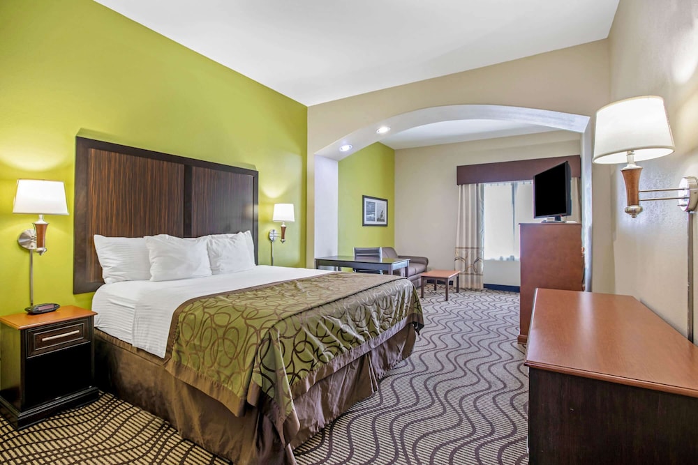 Room, 1 King Bed, Non Smoking (Mobility,Hearing,Roll-In Shower) - Photo 1