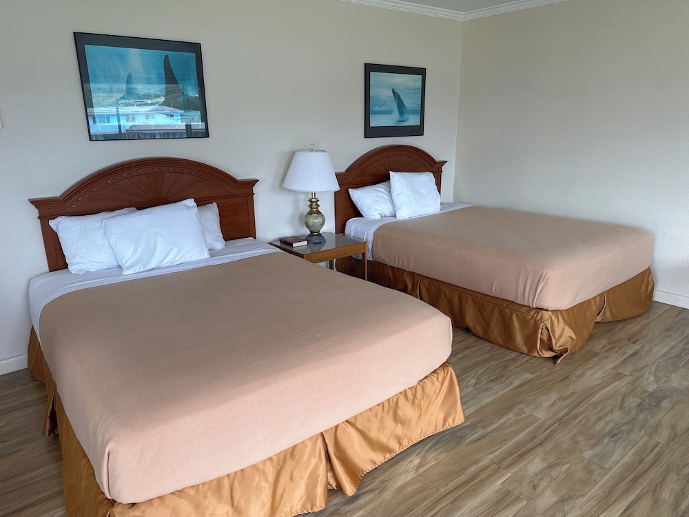 Single Room, 2 Queen Beds, Kitchen photo 3