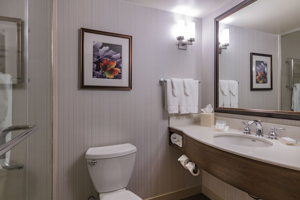 Suite, 1 King Bed, Accessible (Roll-In Shower) - Photo 3