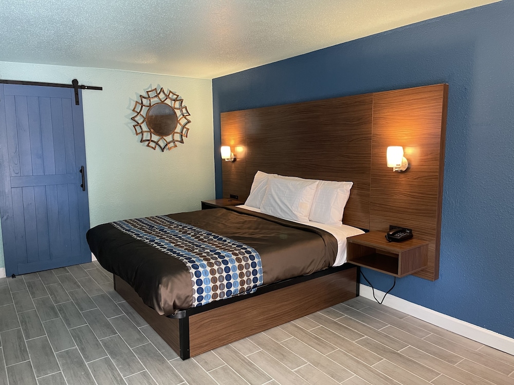 Basic Single Room photo 1