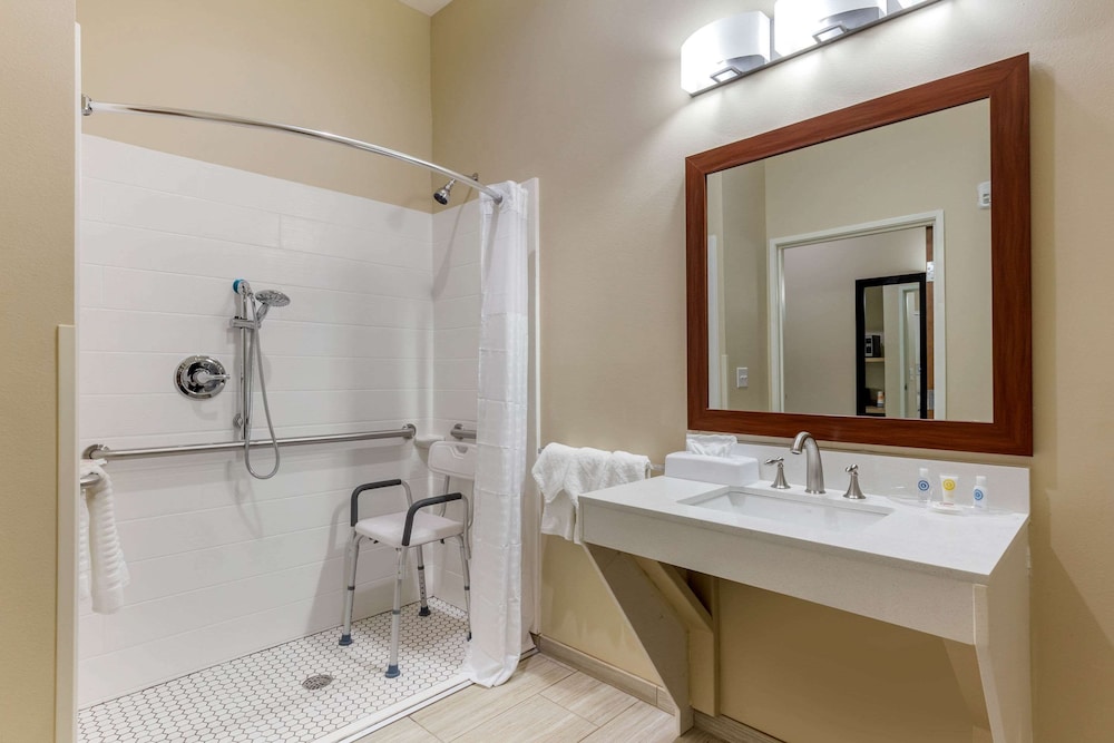 Suite, 1 King Bed, Accessible, Non Smoking - Photo 7