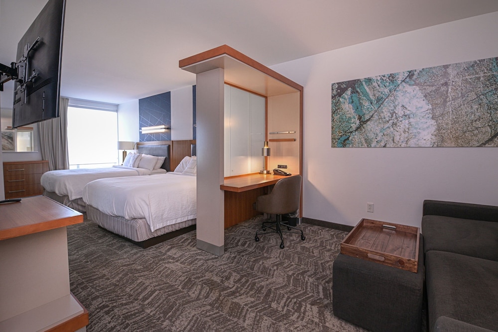 Studio, Multiple Beds - Photo 1