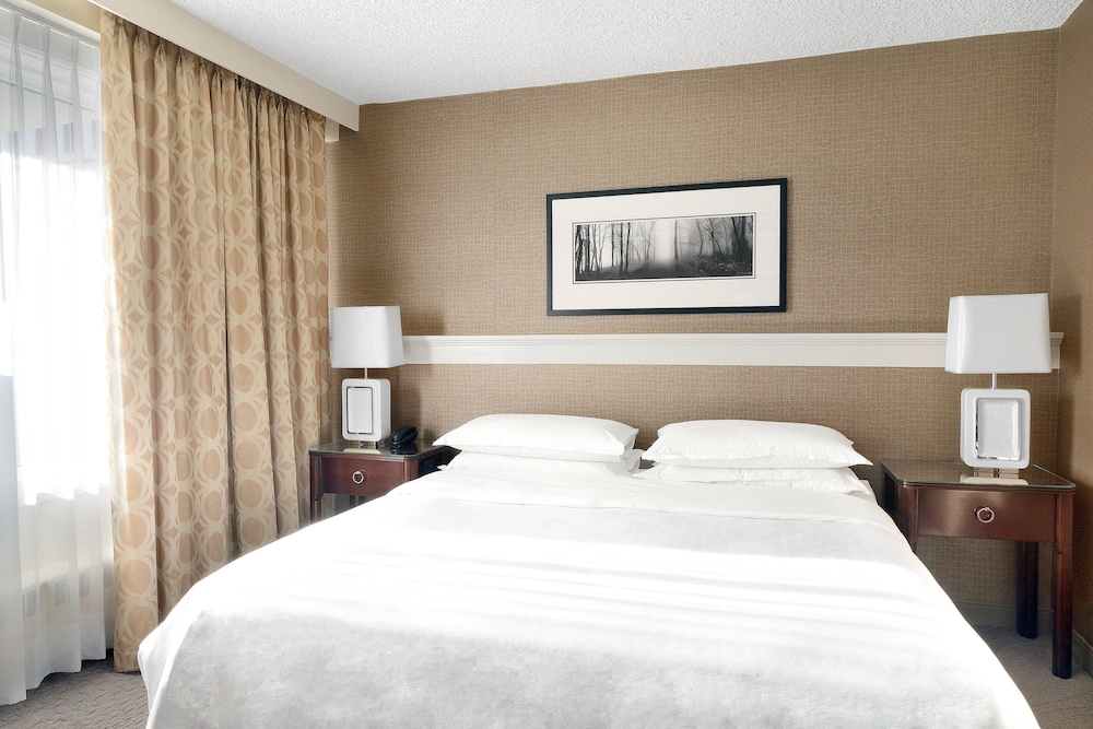 Suite, 1 Bedroom (No View) photo 2
