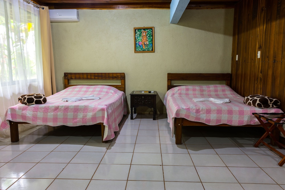 Room, 1 Bedroom, Smoking photo 3
