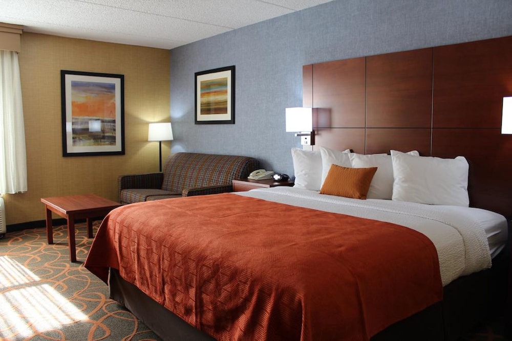Standard Room, 1 King Bed, Accessible, Bathtub - Photo 2