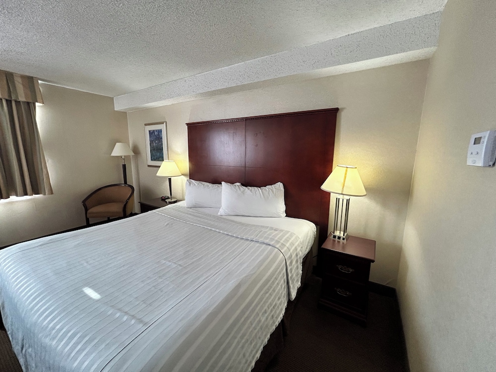 Standard Room, 1 King Bed, Smoking photo 2