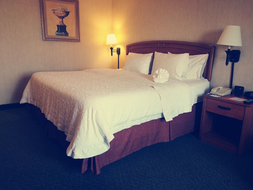 Deluxe Room, 1 King Bed, Non Smoking - Photo 15