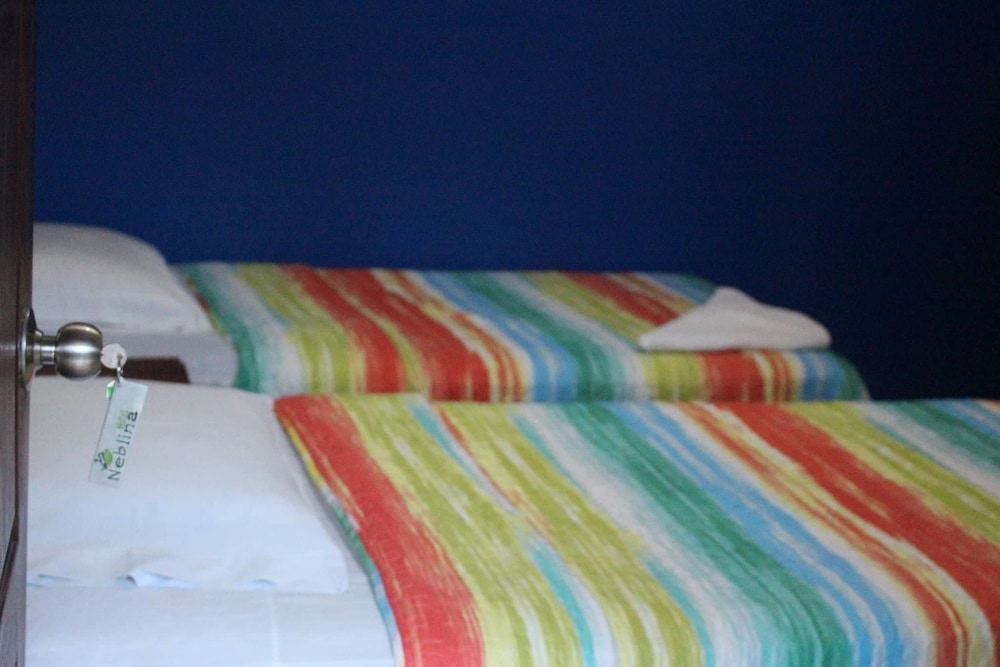 Basic Double Room, 2 Twin Beds photo 2
