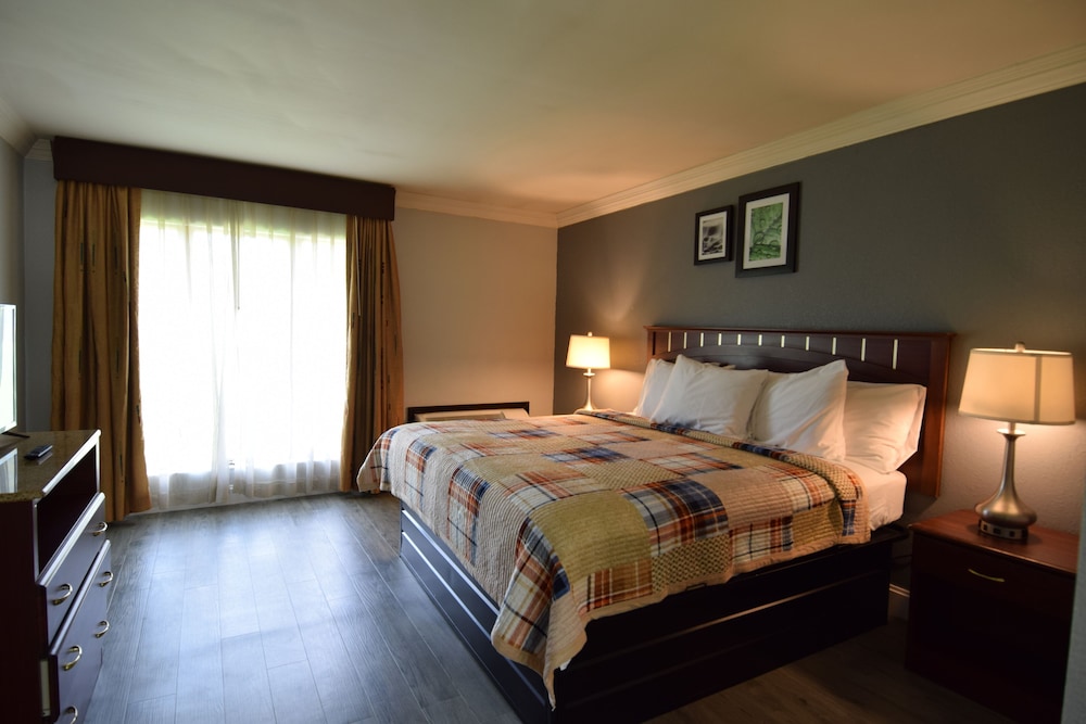 Executive Suite, 1 King Bed with Sofa bed, Non Smoking, Kitchenette
