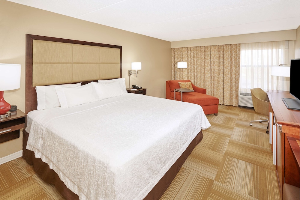 Room, 1 King Bed, Non Smoking photo 3