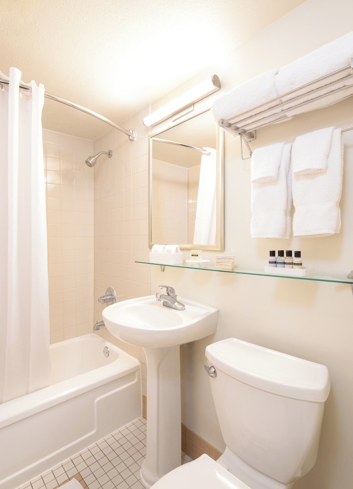 Deluxe Suite, 1 Bedroom, Accessible, Kitchen - Photo 8