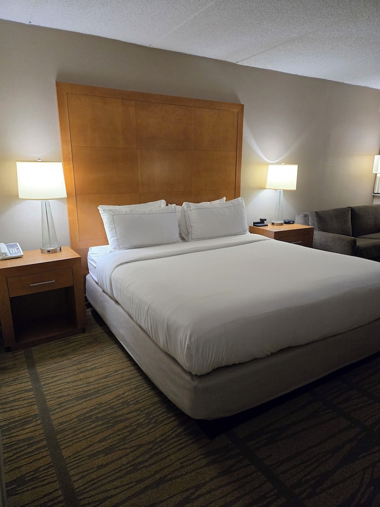 One King Bed, Non-Smoking, Accessible - Photo 3
