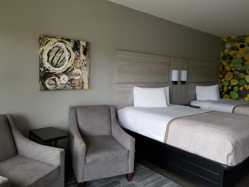 Suite, Multiple Beds, Non Smoking (Efficiency) - Photo 2